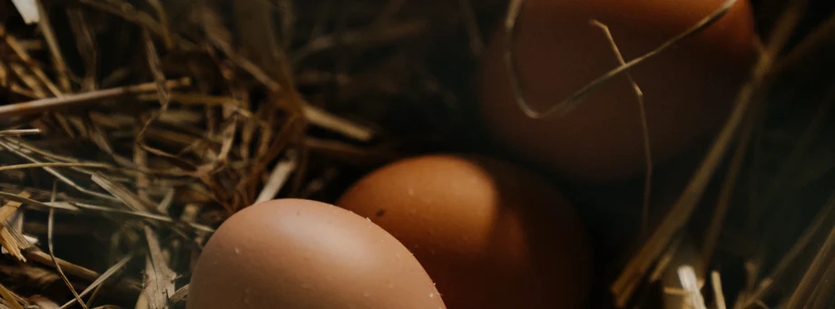 Freshness Rooted in Our Community